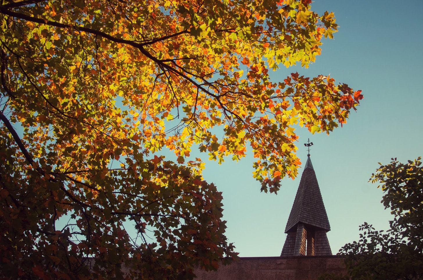 A tree with yellow leaves hangs over the steeple of a church.