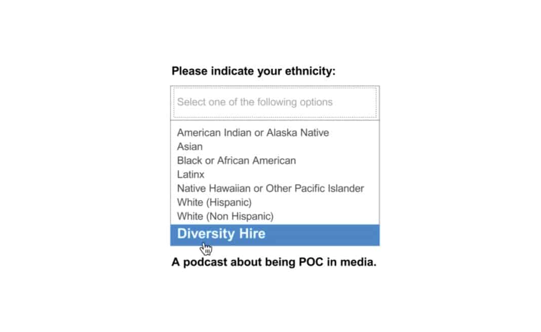 A screenshot that shows a "Please indicate your ethnicity" drop-down menu. Diversity Hire is listed as the bolded and selected option, with a caption underneath that reads "A podcast about being POC in media."